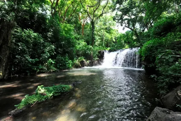 Los Tuxtlas